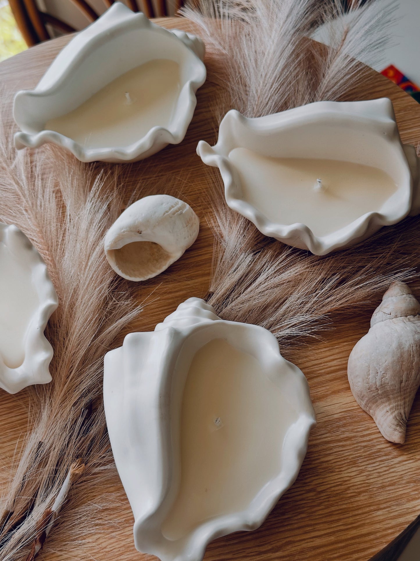 Ceramic Shell Soy Candle
