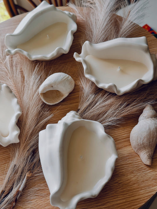 Ceramic Shell Soy Candle